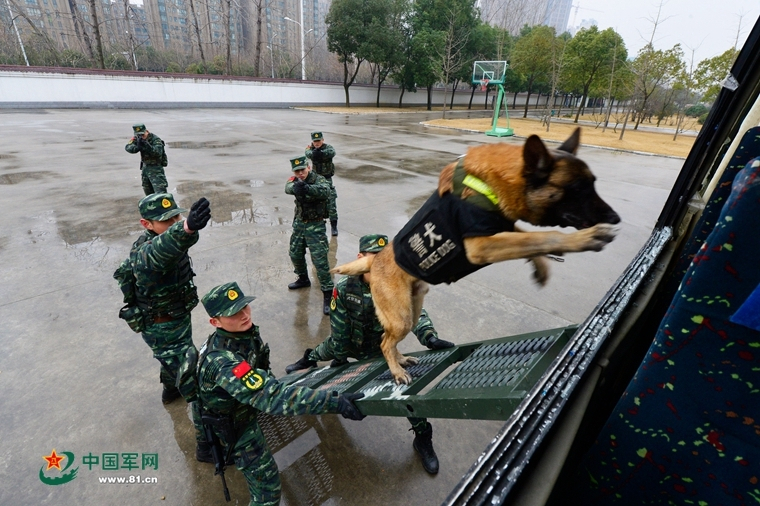 运20夜间大规模输送空降兵，意味着什么？  