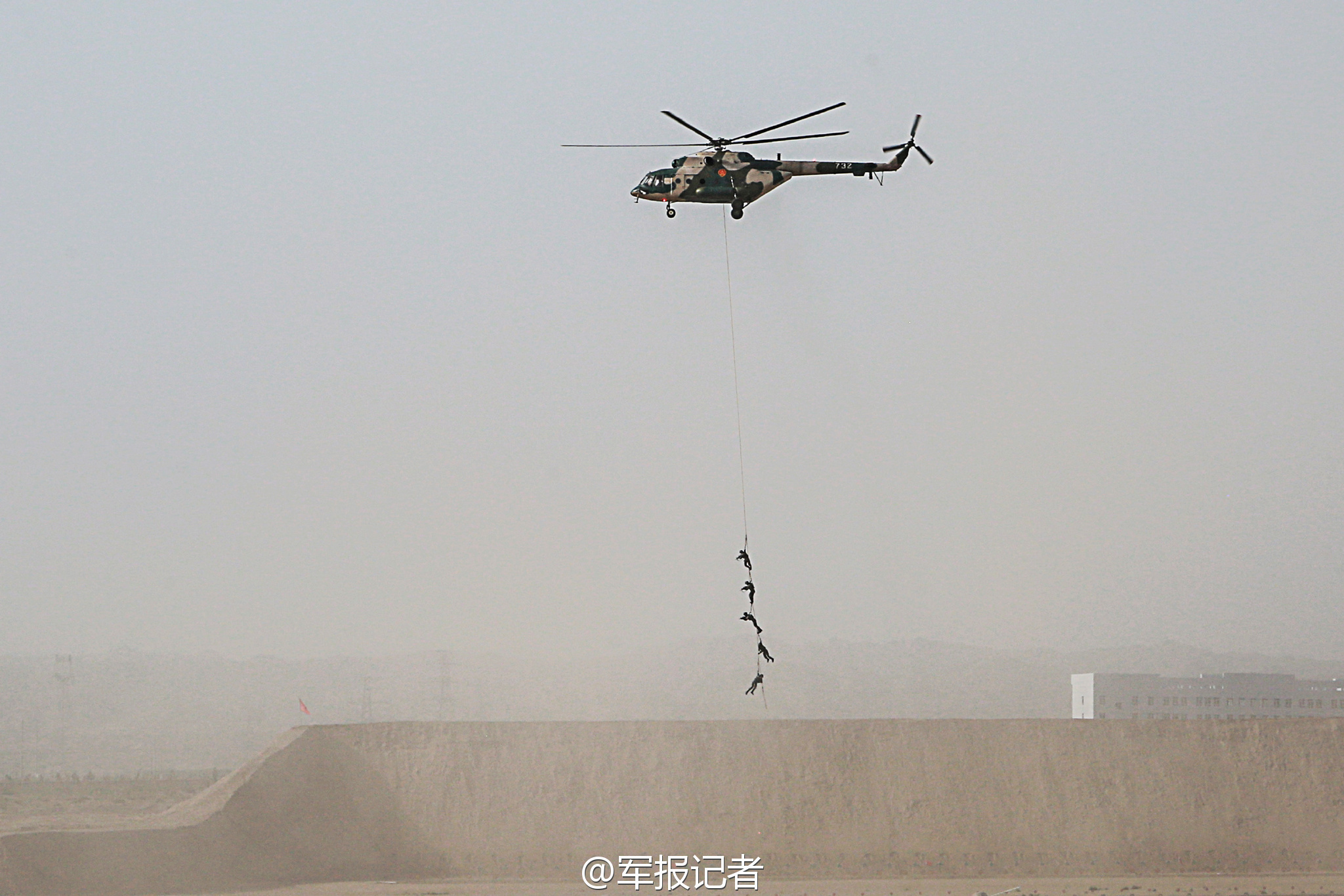 龟市风云变化！三大蛋龟价格下跌，地摊版蛋龟出现？ 