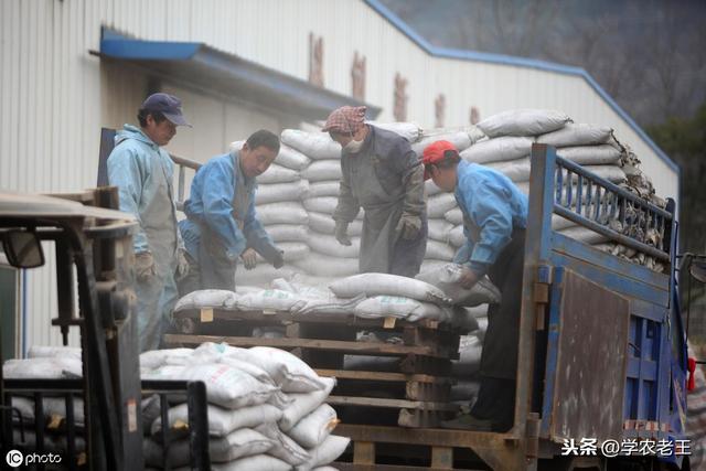 磷肥为什么对作物那么重要？怎样使用？一知半解容易吃亏 